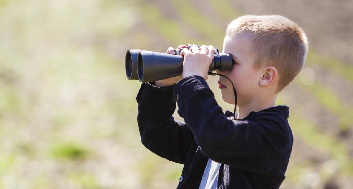 Portrait in profile of little handsome cute blond boy looking th